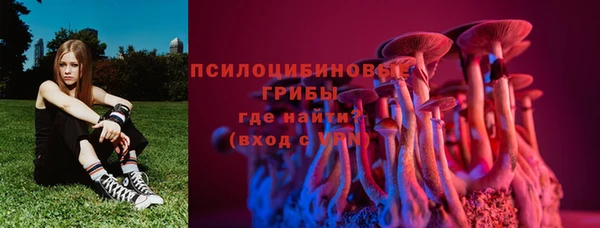 прущие грибы Бородино