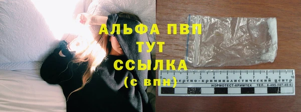 прущие грибы Бородино