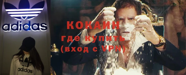 прущие грибы Бородино