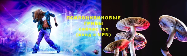 прущие грибы Бородино