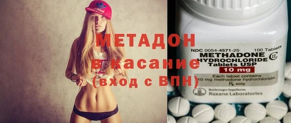 прущие грибы Бородино