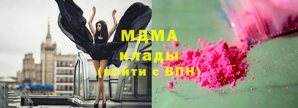 прущие грибы Бородино