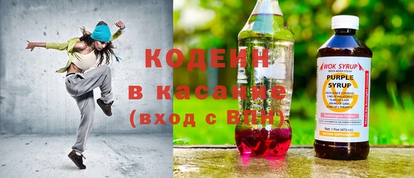 прущие грибы Бородино