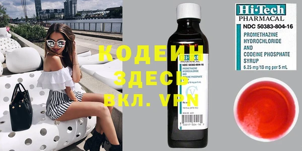 прущие грибы Бородино