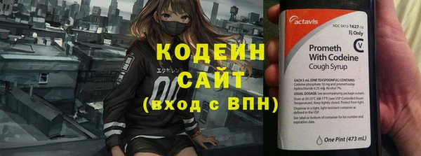 прущие грибы Бородино
